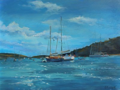 Salcombe Yachten, perfekter Tag von Jennifer Wright